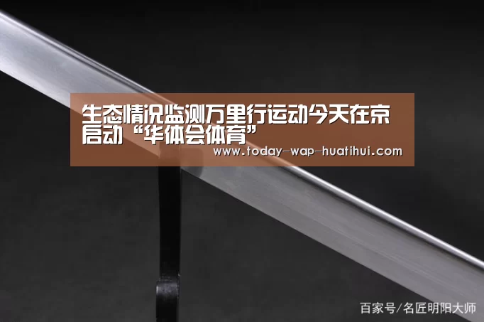 华体会体育