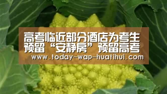 华体会体育