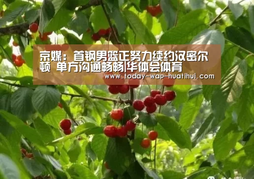 华体会体育