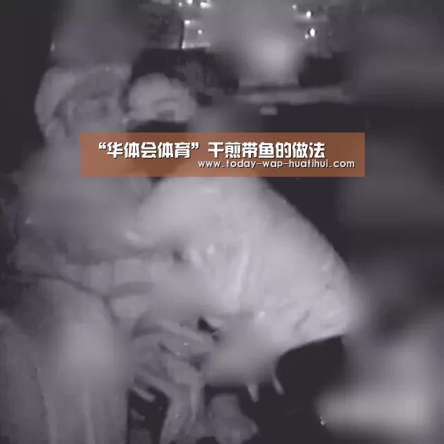 华体会体育