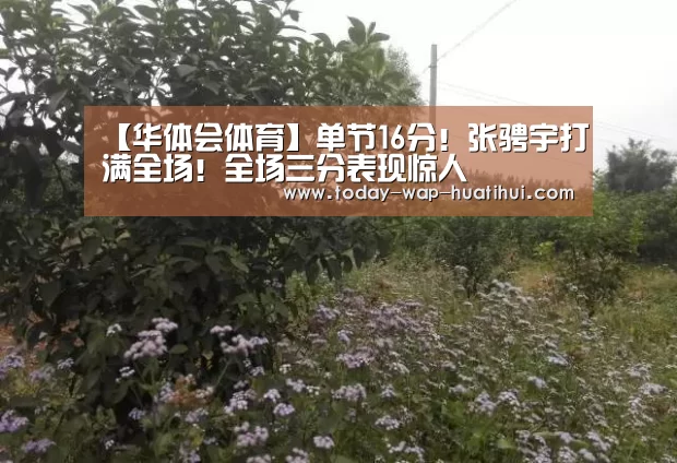 华体会体育
