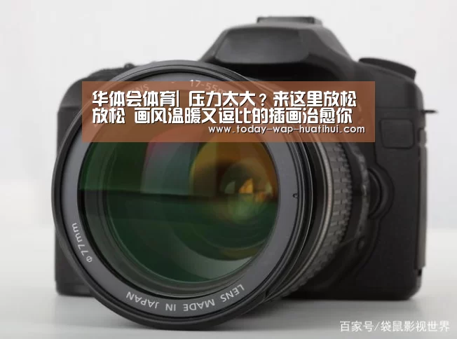 华体会体育