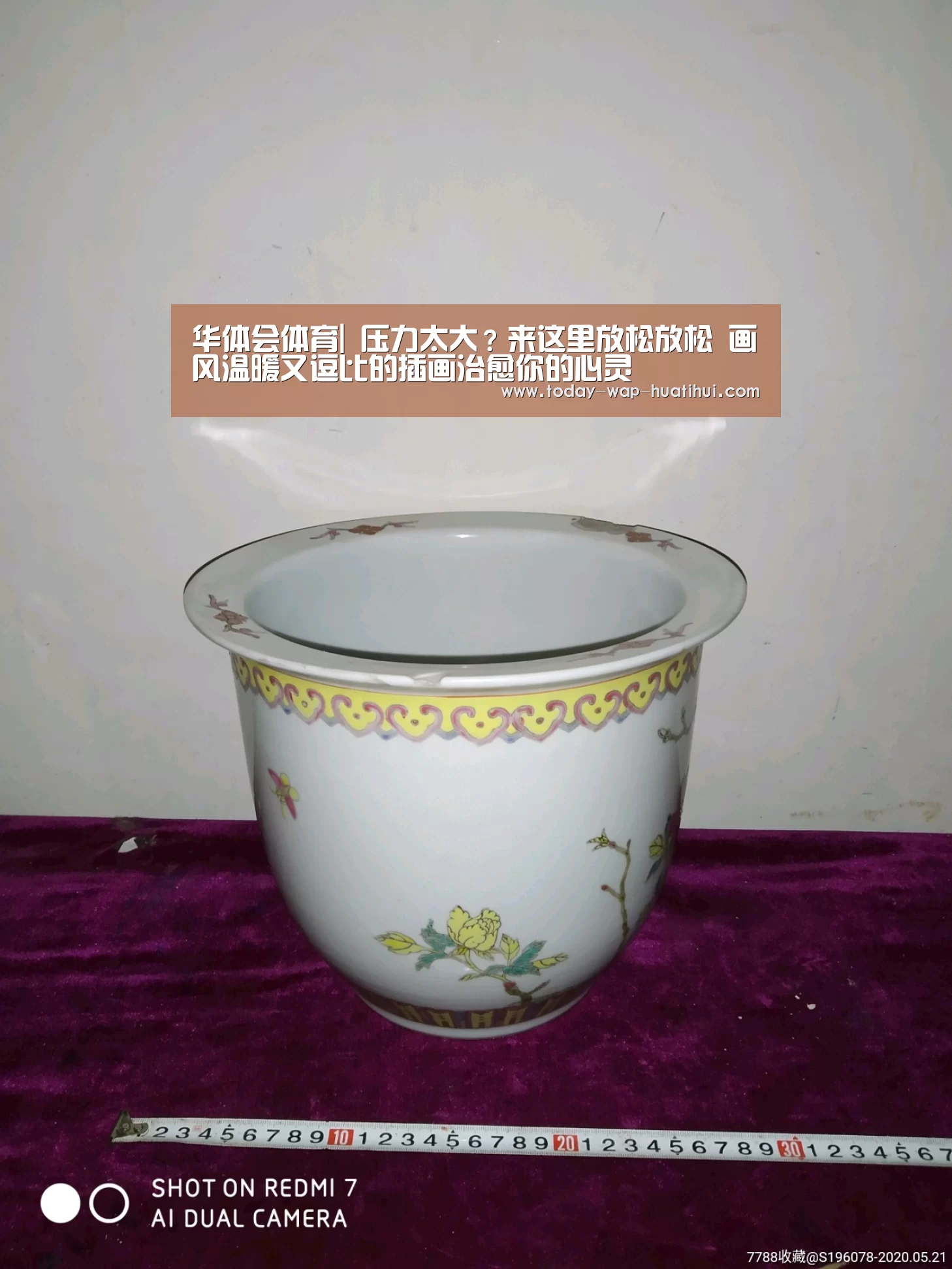 华体会体育