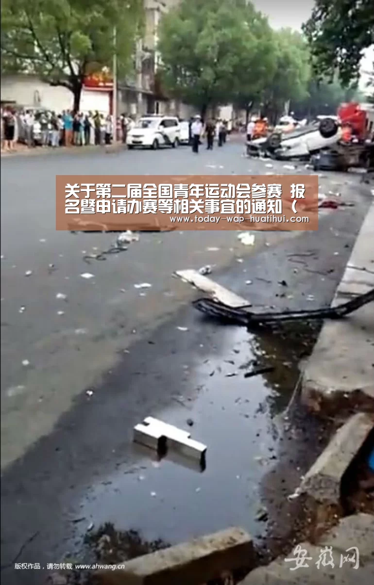华体会体育