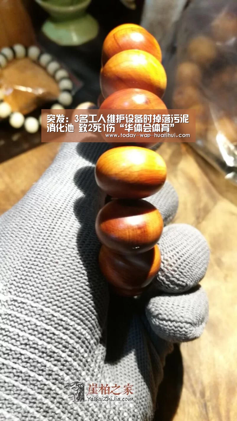 华体会体育